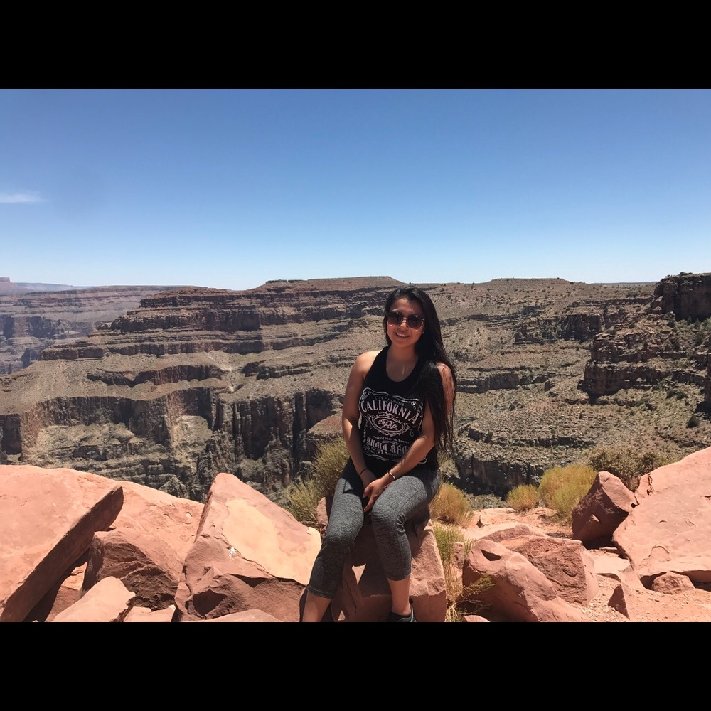 Meet your Posher, Rosie