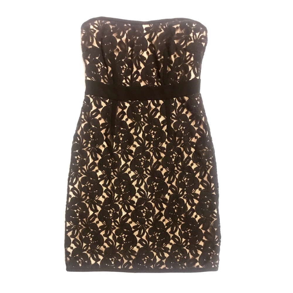 The Loft Lace Strapless Cocktail Dress