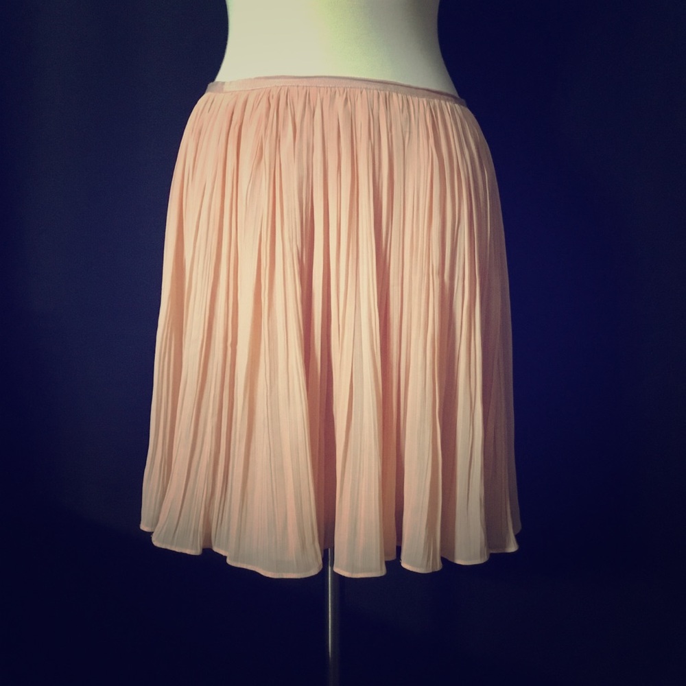 BB Dakota Pleated Skirt!