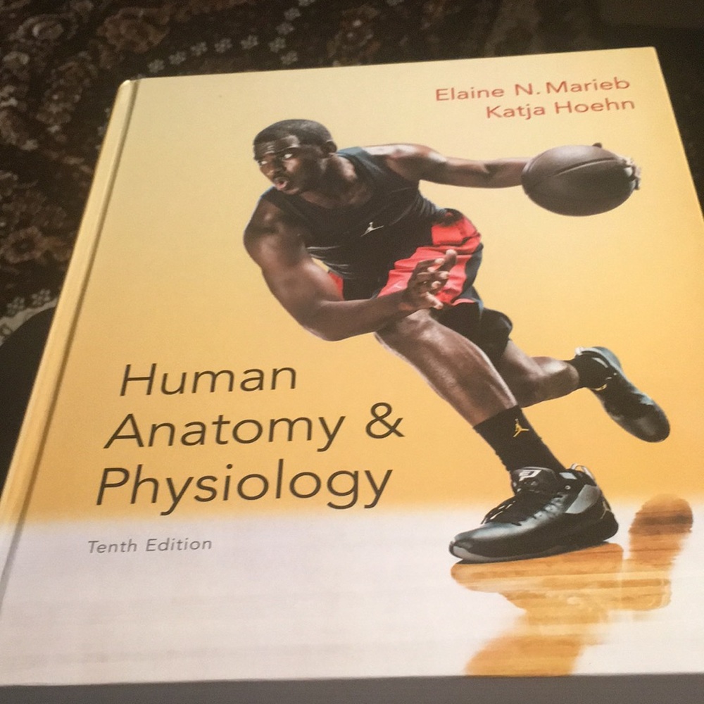 Human Anatomy & Physiology-10th edition