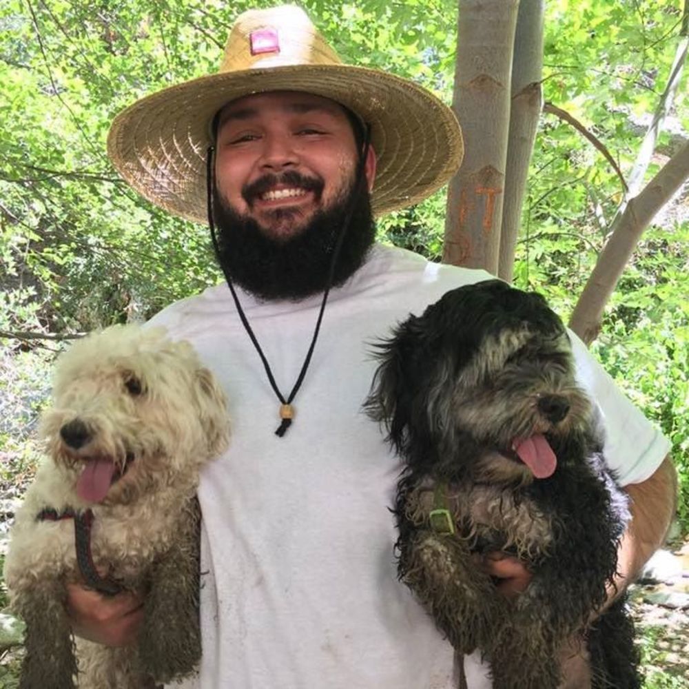 Meet your Posher, David