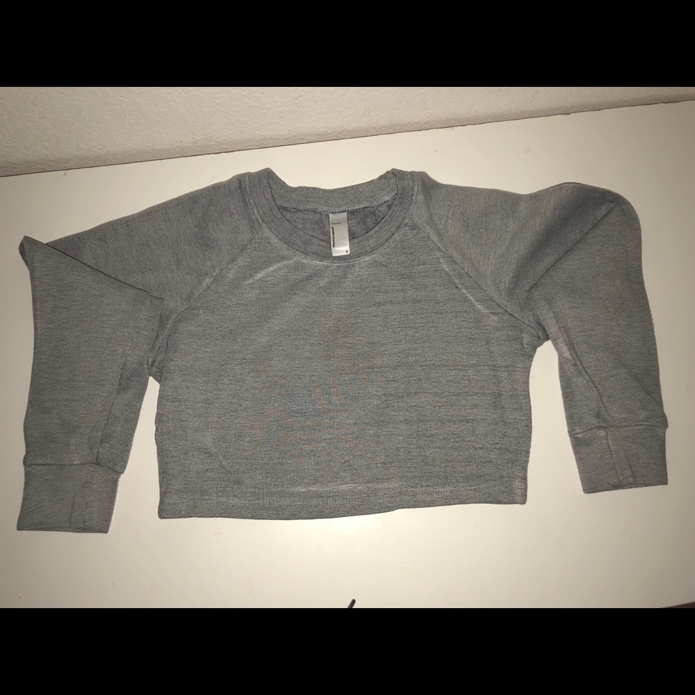 American apparel grey long sleeve crop top