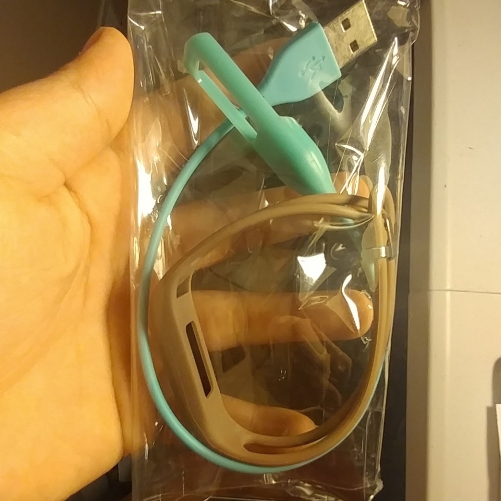 Fitbit flex accessories