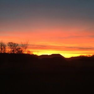 Meet your Posher, Faith