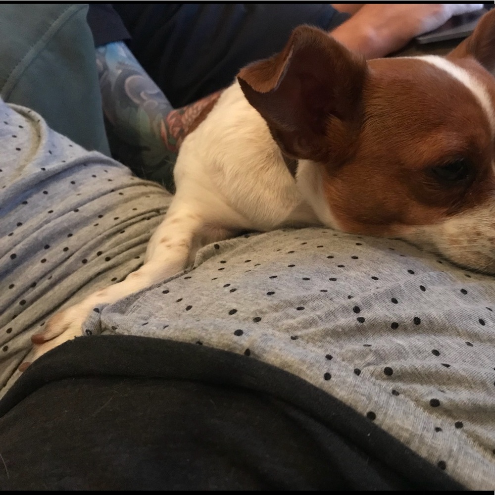 Meet your Posher, Abigail