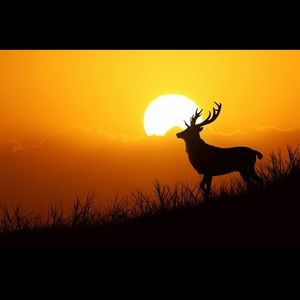 Meet your Posher, Aldo