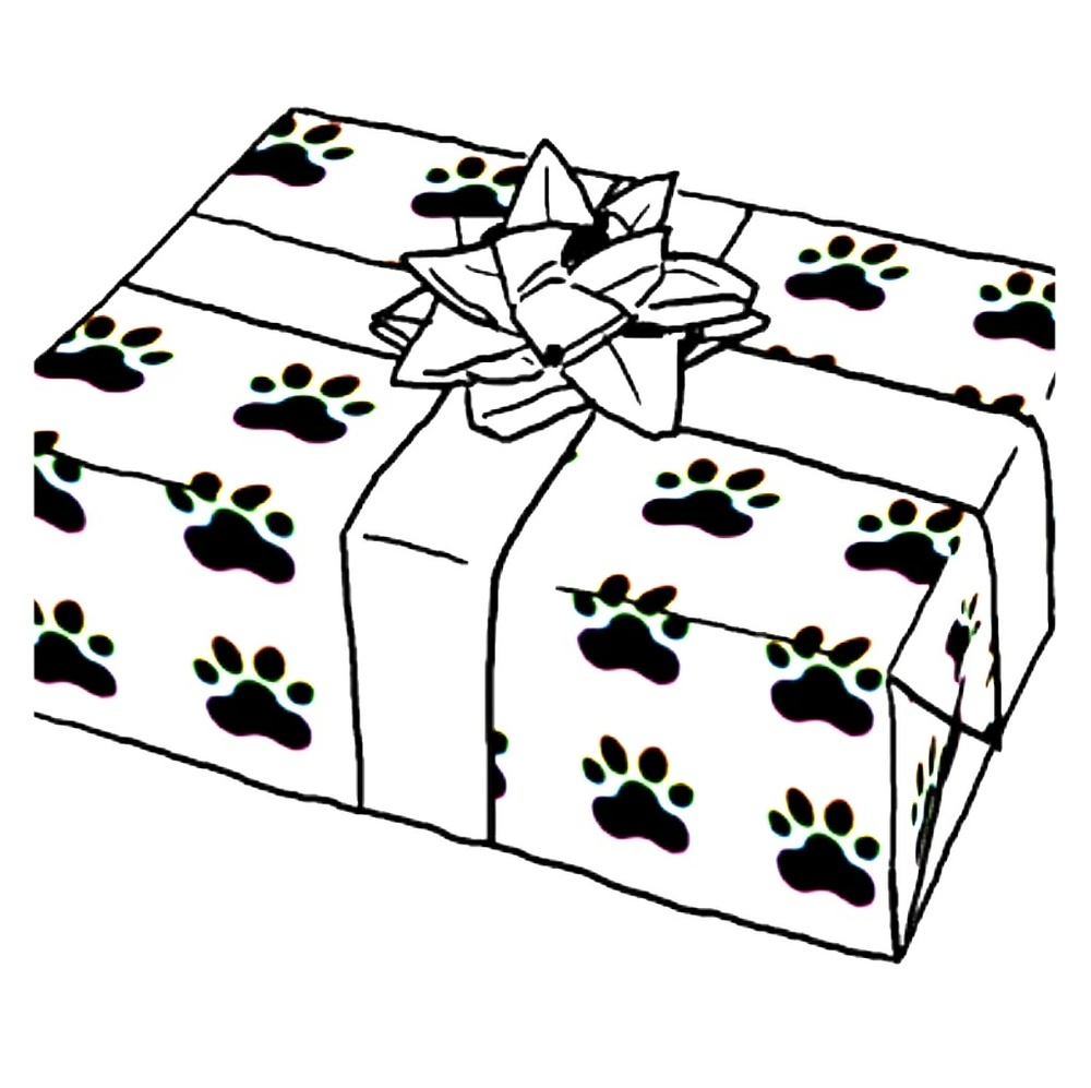 Pet Mystery Box For Dogs.