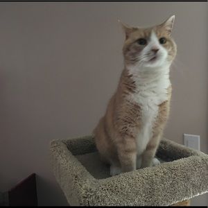 Meet your Posher, Patricia