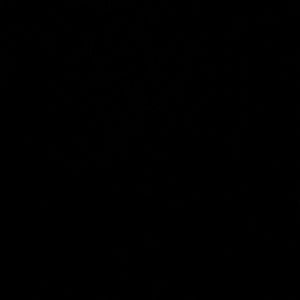 Meet your Posher, Elvira