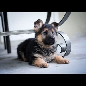 Meet your Posher, Brian