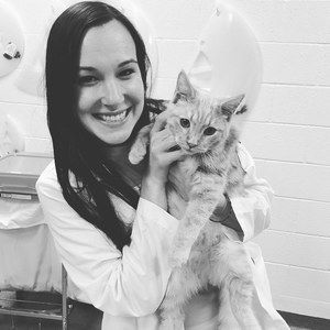 Meet your Posher, Casey