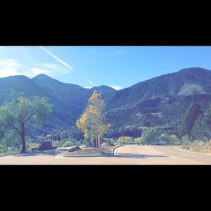 Meet your Posher, Bella