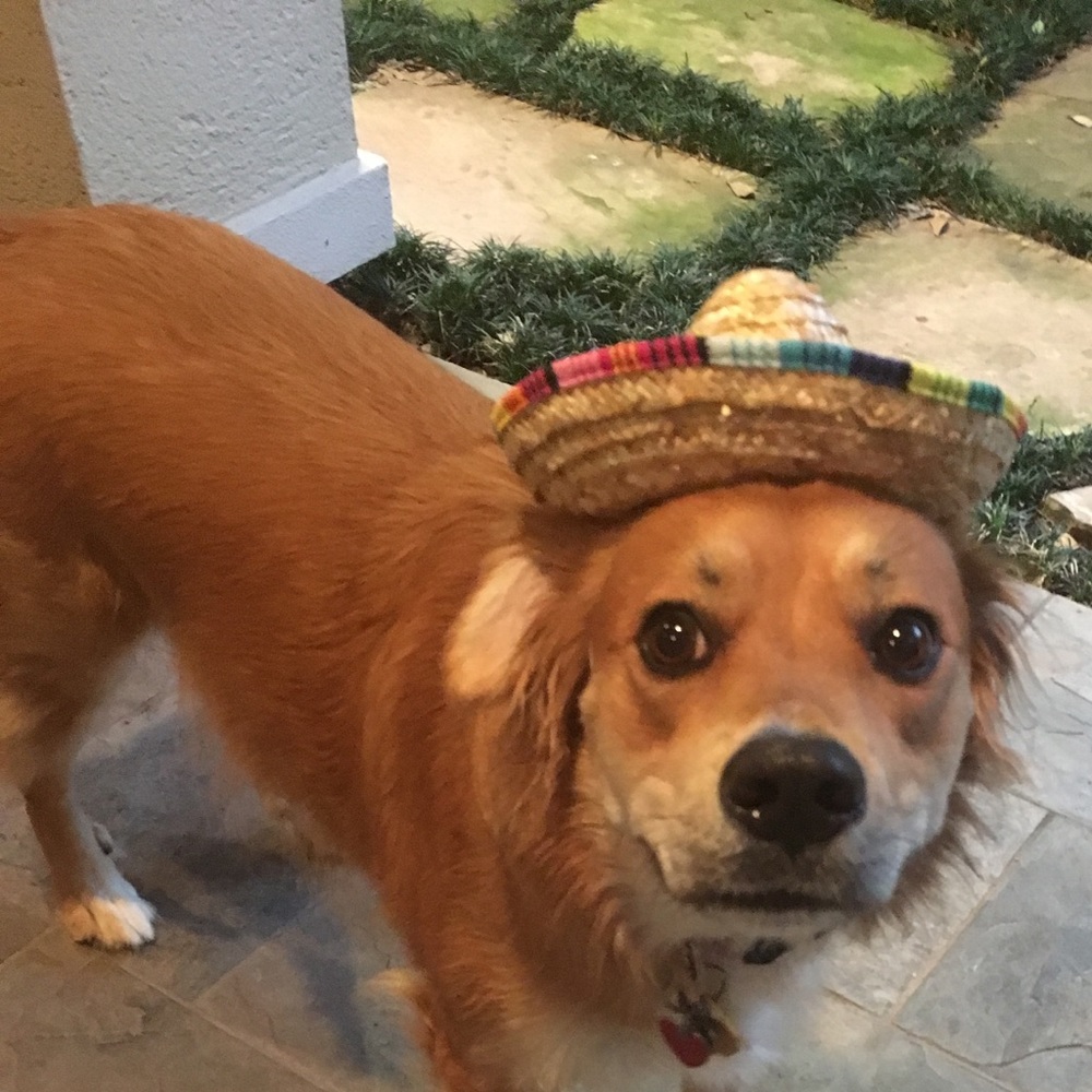 Meet your Posher, Catherine