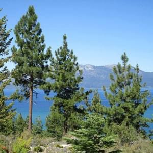 Meet your Posher, Trina