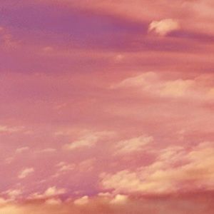 Meet your Posher, Kyan