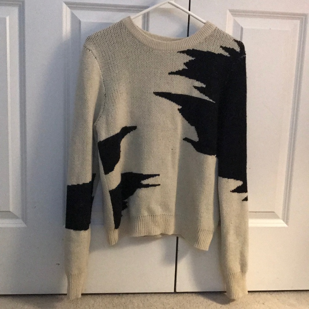 Urban Outfitters winter sweater.