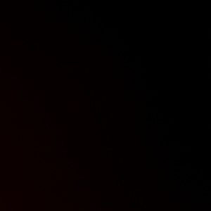 Meet your Posher, Hector