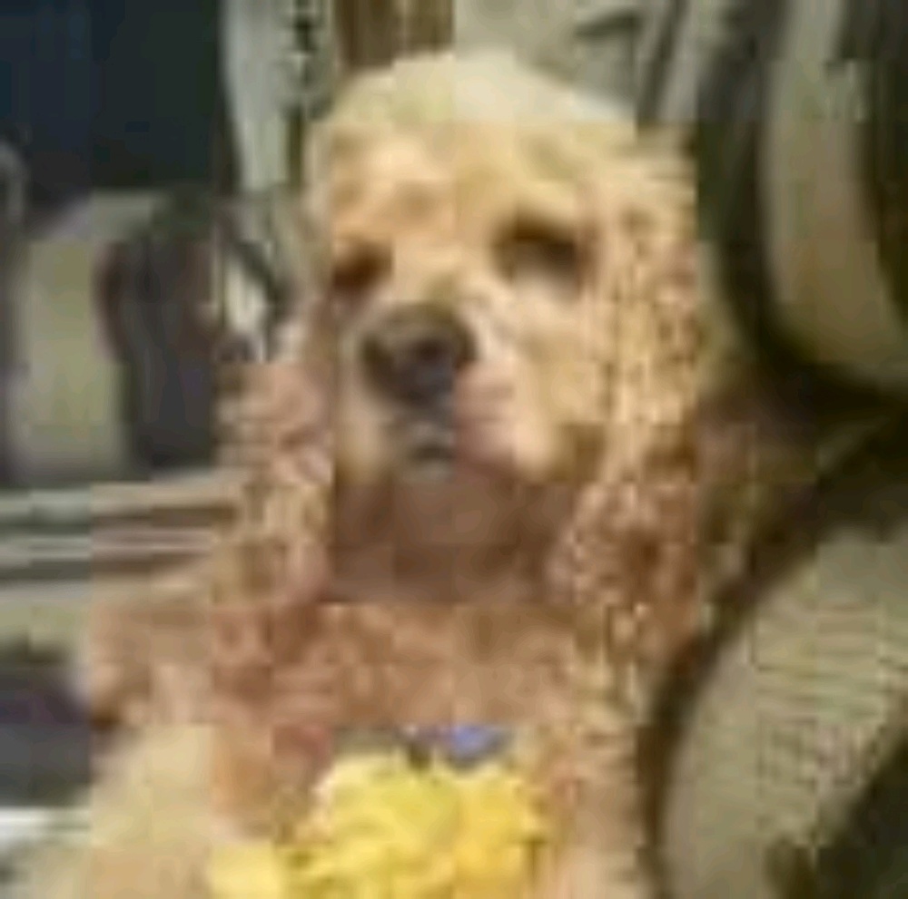 Meet your Posher, Tammy