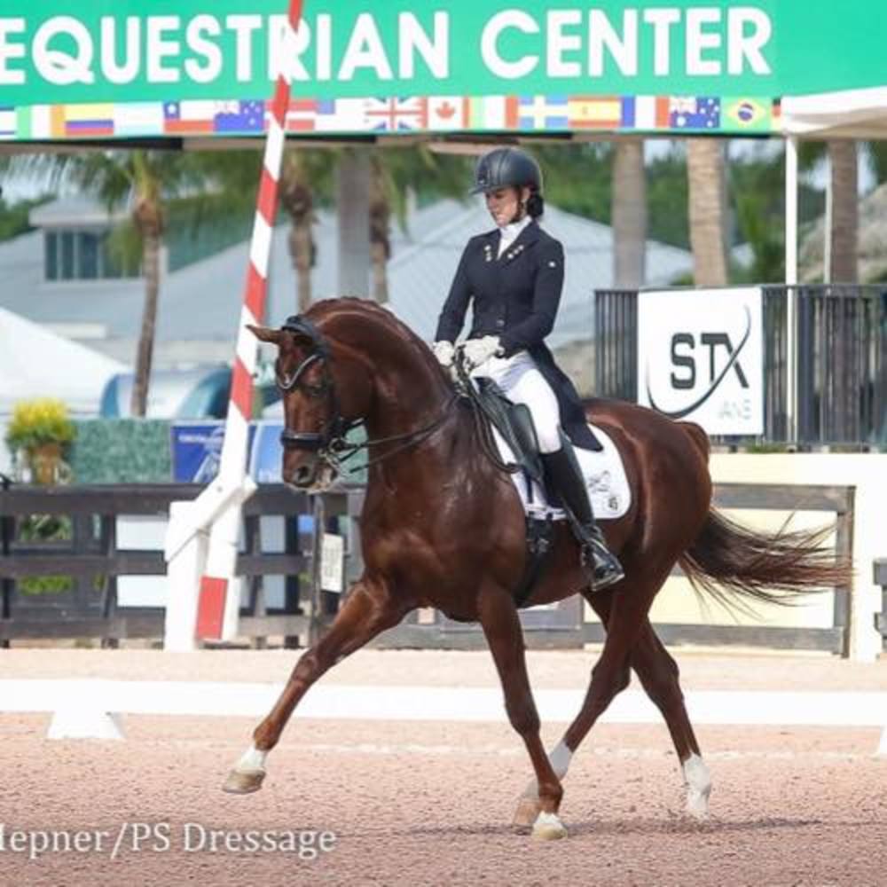 Meet your Posher, Kati