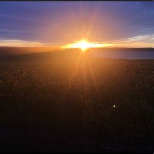 Meet your Posher, Jolene