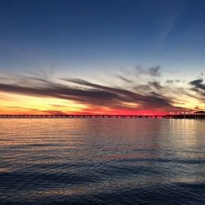 Meet your Posher, Johnny