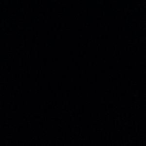 Meet your Posher, Peyton