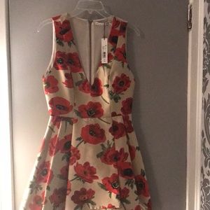 Alice and Olivia dress