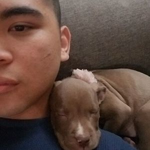 Meet your Posher, Edwin