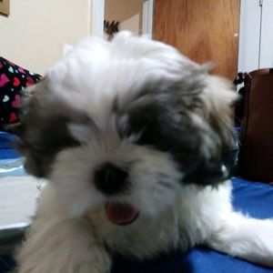 Meet your Posher, Lilibeth