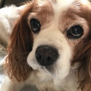 Misunderstanding w/ @torysfinds- read and share