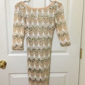 Papaya sequin beige/gold/silver long sleeve dress