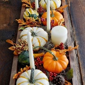 Meet your Posher, Dani