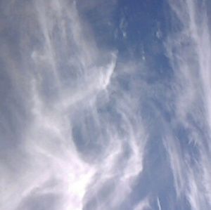 Meet your Posher, Antonio