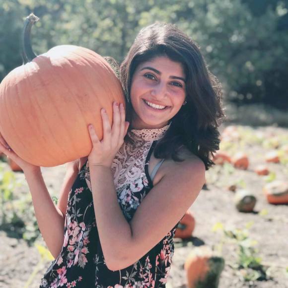 Meet your Posher, Wardie - Picture 1 of 1