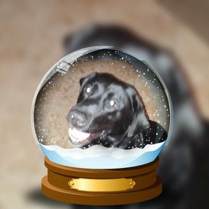 Meet your Posher, Paula