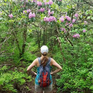 Meet your Posher, Laurie