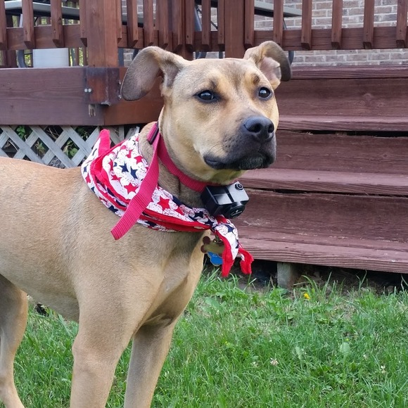 Meet your Posher, Joan - Picture 1 of 1