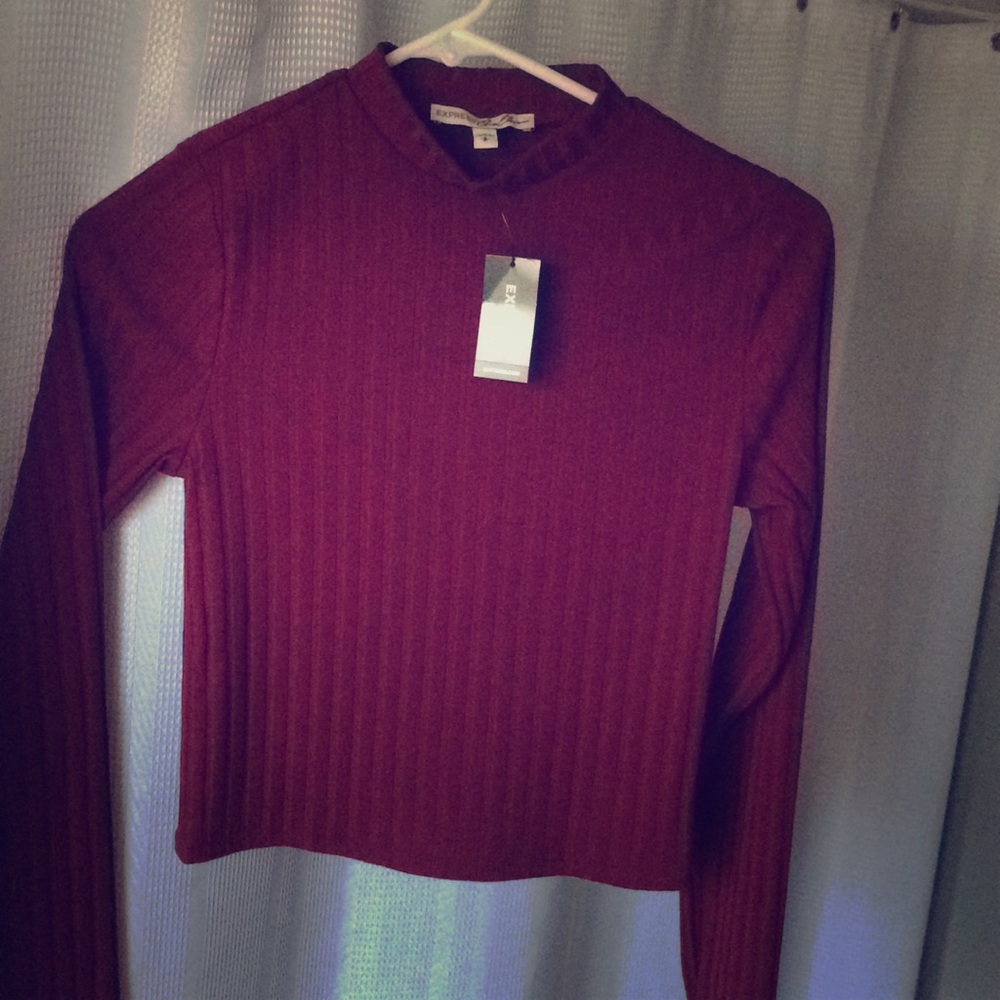 Cropped Express turtleneck