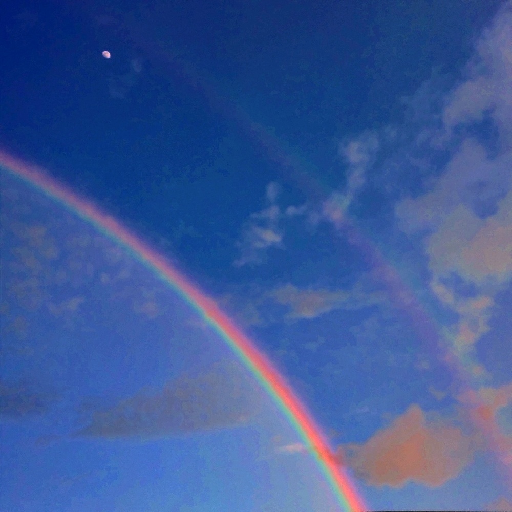 Meet your Posher, Alexus