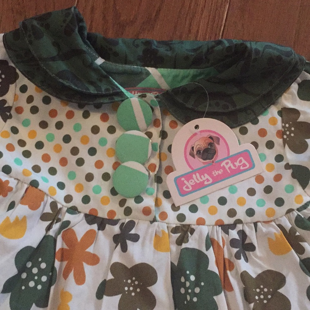 Jelly the Pug dress girls 18months