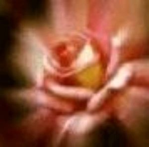 Meet your Posher, Larhonda