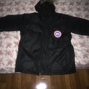 Canada goose in good condition