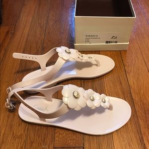 Coach blush pink sandal