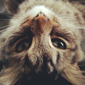 Meet your Posher, Clay