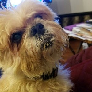 Meet your Posher, Donna