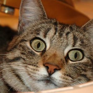 Meet your Posher, Michele