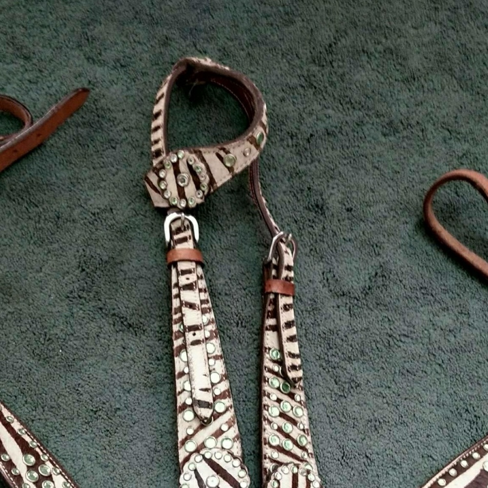 Zebra print headstall and breast collar