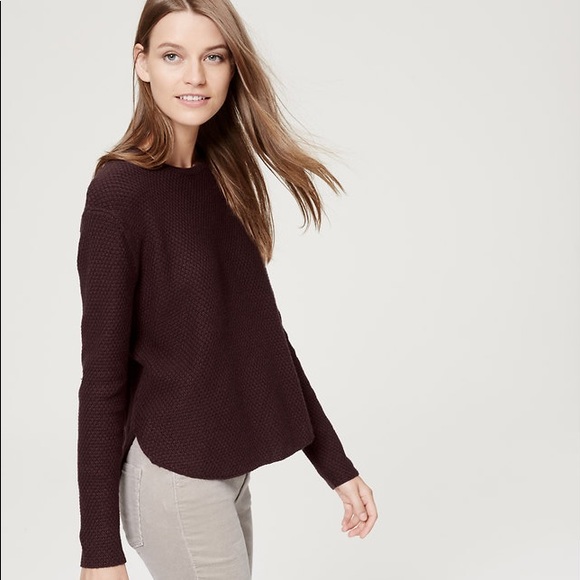 Shirt Tail Sweater Top Sellers, 50% OFF 