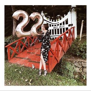 Meet your Posher, Diosmary