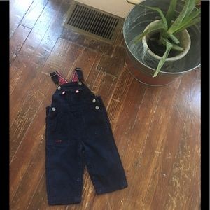 IZOD Overall